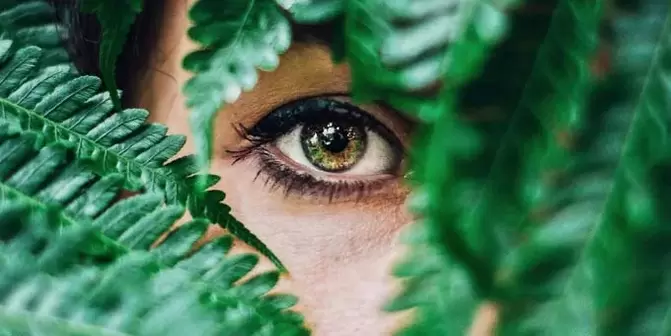 vizyon ve onu geri yüklemek için egzersizler